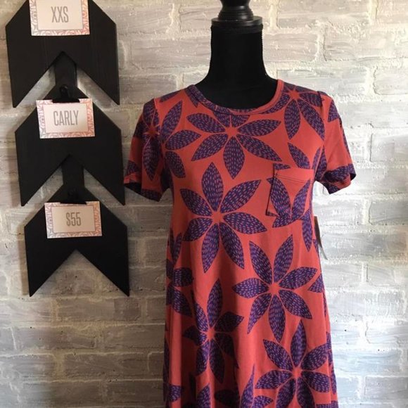 Carly - Picture 1 of 1